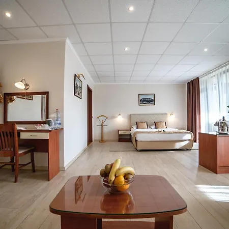 Hotel Novi Sad 4*
